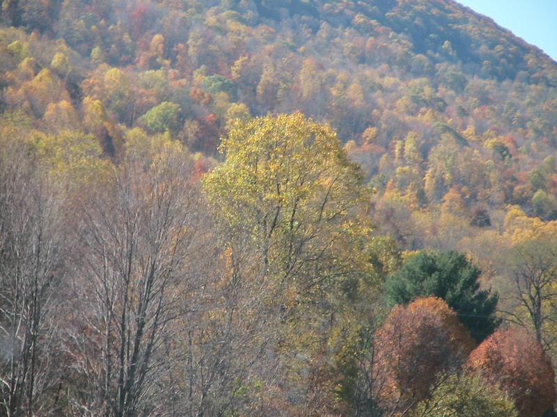 slideshow